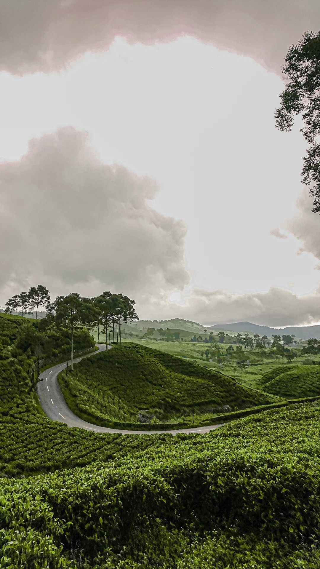 West Java